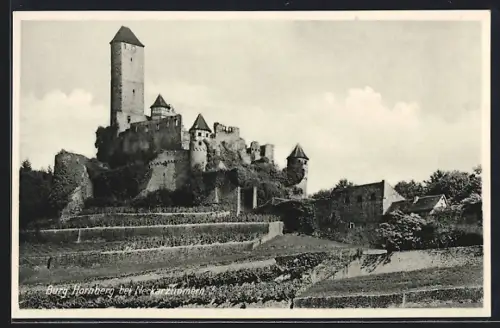 AK Neckarzimmern, Burg Hornberg