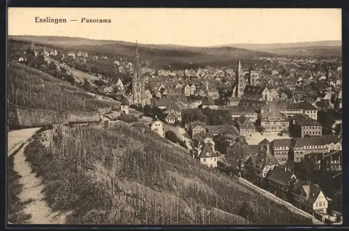 AK Esslingen / Neckar, Ortsansicht aus der Vogelschau