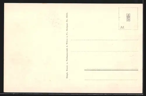 AK Rottweil a. N., Ortsansicht mit Altstadt