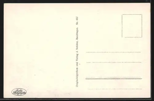 AK Rottweil, Blick über den Ort