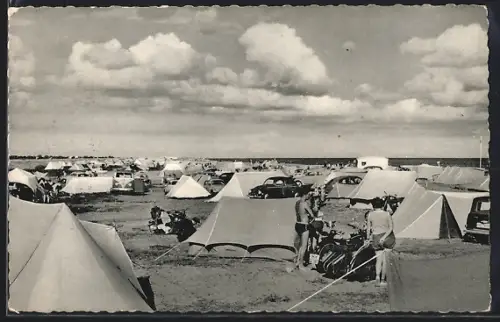 AK Lenste /Cismar, Naturstrand, Zeltplatz, Autos, Campingbetrieb