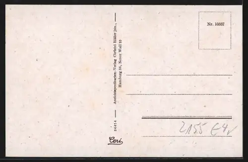 AK Borstel in Altenlande, Windmühle, Fachwerkhäuser, Strassenansicht