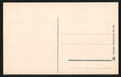 AK Halle a. S., Frankesche Stiftungen aus der Vogelschau