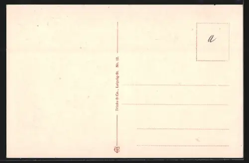 AK Halle a. Saale, Marktplatz mit rotem Turm aus der Vogelschau