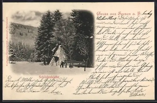 AK Seesen a. H., Schildauköthe mit Umgebung