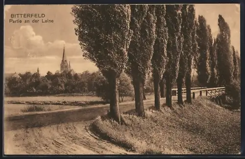 AK Bitterfeld, Partie an der Leine
