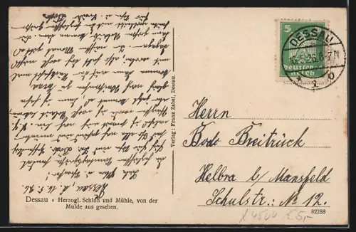 AK Dessau, Herzogl. Schloss und Mühle, von der Mulde aus gesehen