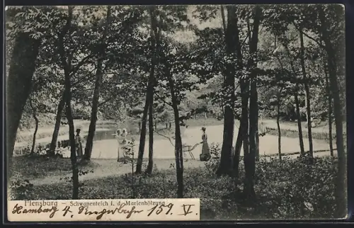 AK Flensburg, Schwanenteich in der Marienhölzung