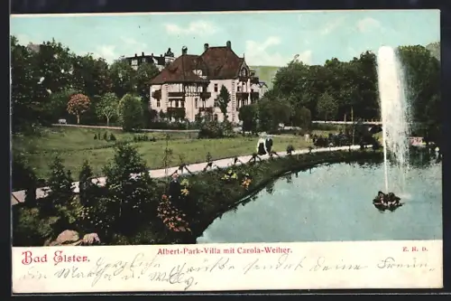 AK Bad Elster, Albert-Park-Villa, Carola-Weiher