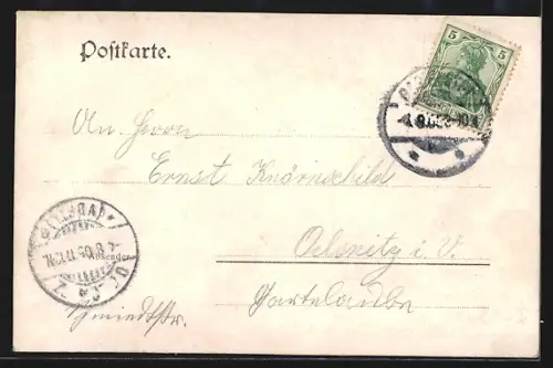 AK Bad Elster, Albert-Park-Villa, Carola-Weiher