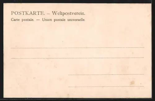 AK Dresden-Neustadt, Blick von der Dreikönigskirche auf Altstadt und Elbe