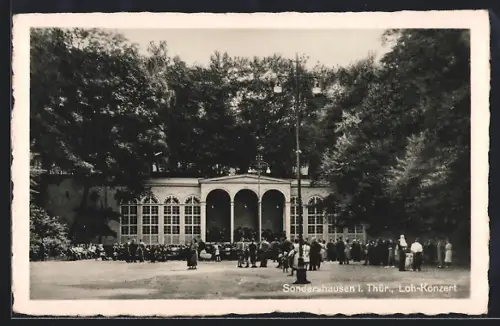 AK Sondershausen i. Thür., Loh-Konzert