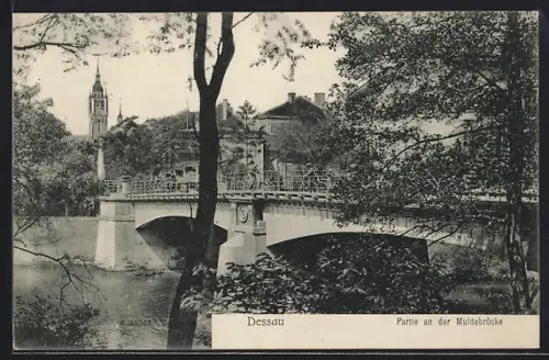 AK Dessau, Partie an der Muldebrücke