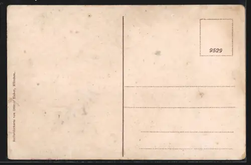 AK Mylau, Stadtsicht, Kaiserschloss, Göltzschtalbrücke