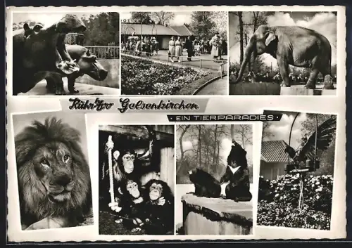 AK Gelsenkirchen, Ruhr-Zoo, Inh. L. Ruhe