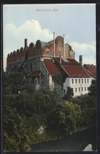 AK Halle a. S., Dom