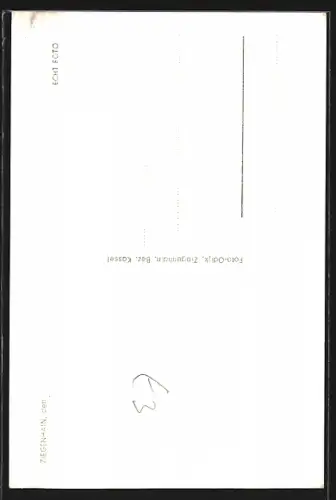 AK Ziegenhain / Hessen, Blick vom Schlossturm