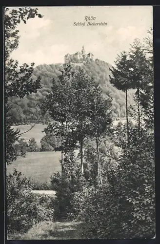 AK Bieberstein / Rhön, Blick nach dem Schloss Bieberstein