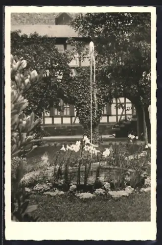 AK Duderstadt, St. Ursula mit Park