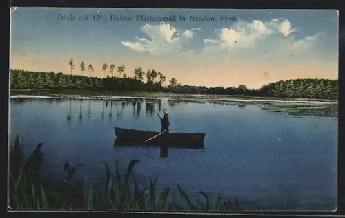 AK Neudau /Stmk., Ruderboot auf dem Teich