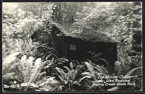 AK Prairie Creek State Park, CA, Old Mining Cabin of John Gadwod