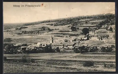 AK Vlicey im Priesterwald, Ortsansicht aus der Ferne