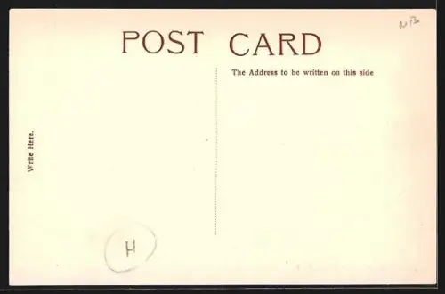 AK Simla, Monkeys on Jakho