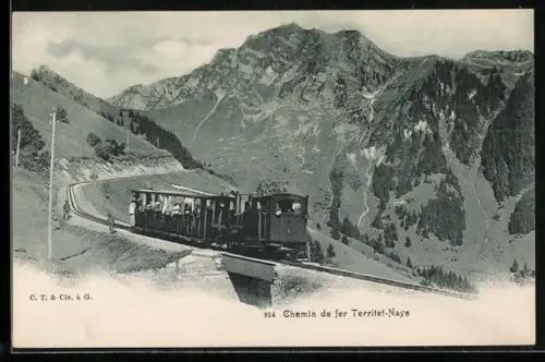 AK Chemin de fer Territet-Naye, Bergbahn auf der Strecke