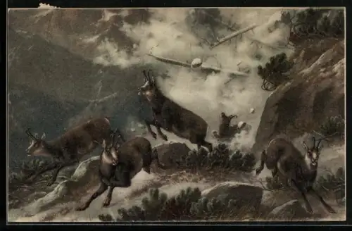 AK Gemsen fliehen vor einer Lawine