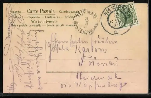 AK Gemsen fliehen vor einer Lawine