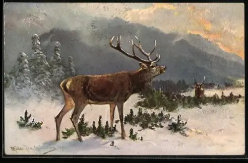 Künstler-AK M. Müller jun.: Rivalisierende Hirsche begegnen sich