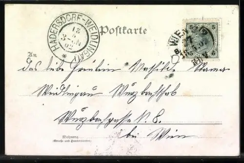 Lithographie Maikäfer mit Glücksklee laufen über eine Brücke im Grünen