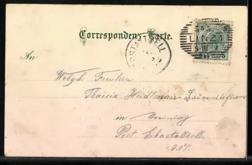 AK Pöstlingberg, Panorama mit elektrischen Adhäsionsbahn