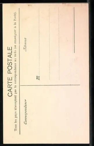 AK Chemin de fer des Rochers de Faye et la Dent de Jaman, Bergbahn