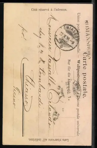 AK die Brünigbahn passiert die Passhöhe, Bergbahn