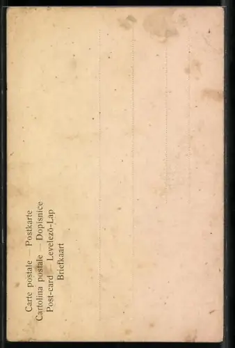 Künstler-AK Ausfahrt des Kronprinzessin Luise mit André Giron in Genf