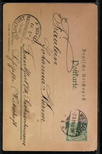 Lithographie Wiesbaden, Hotel Kaiserhof und Augusta-Victoria-Bad aus der Vogelschau