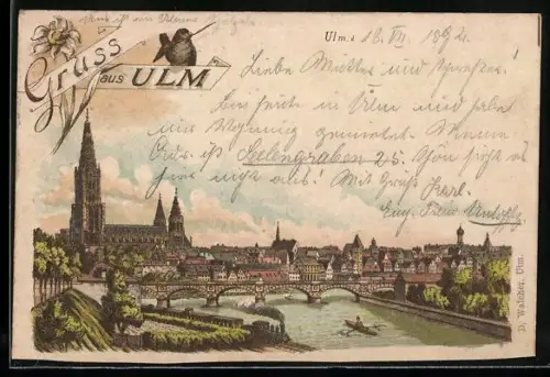 Lithographie Ulm / Donau, Stadtpanorama mit Brücke, Ruderboot und Münster, Vogel