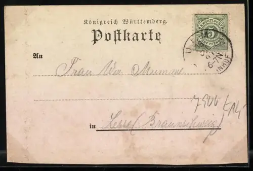 Lithographie Ulm / Donau, Stadtpanorama mit Brücke, Ruderboot und Münster, Vogel