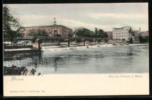 AK Dessau, Herzogl. Schloss und Mühle