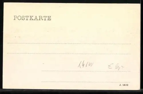 AK Dessau, Herzogl. Schloss und Mühle