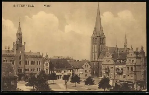 AK Bitterfeld, Blick auf den Markt mit Kirche