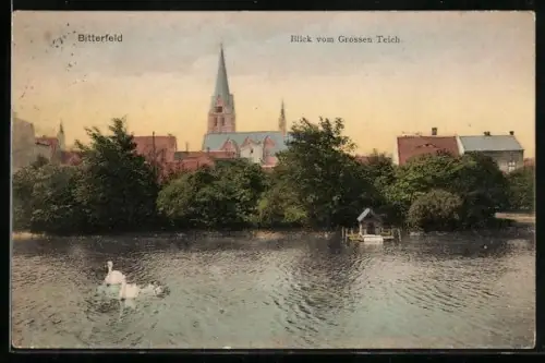 AK Bitterfeld, Blick vom grossen Teich