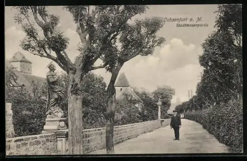 AK Ochsenfurt a. M., Partie an der Stadtmauer