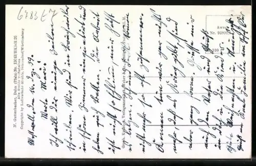 AK Erlenbach / Pfalz, Totalansicht mit Burg Berwartstein vom Flugzeug aus