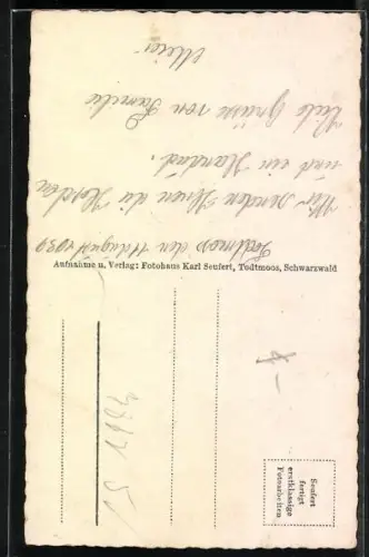 AK Todtmoos, Geschnitzter Wegweiser, Trachtengruppe