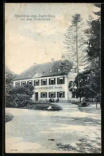 AK Niederwald / Rüdesheim, Dependenz zum Jagdschloss, Hotel-Pension