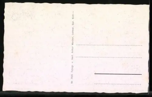 AK Friedewald /Westerwald, Schlossstrasse