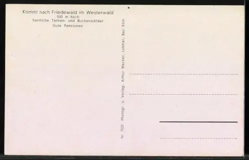 AK Friedewald /Westerwald, Ortsansicht