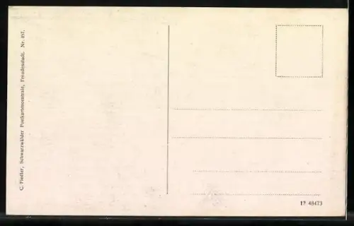 AK Freudenstadt, Unterer Marktplatz